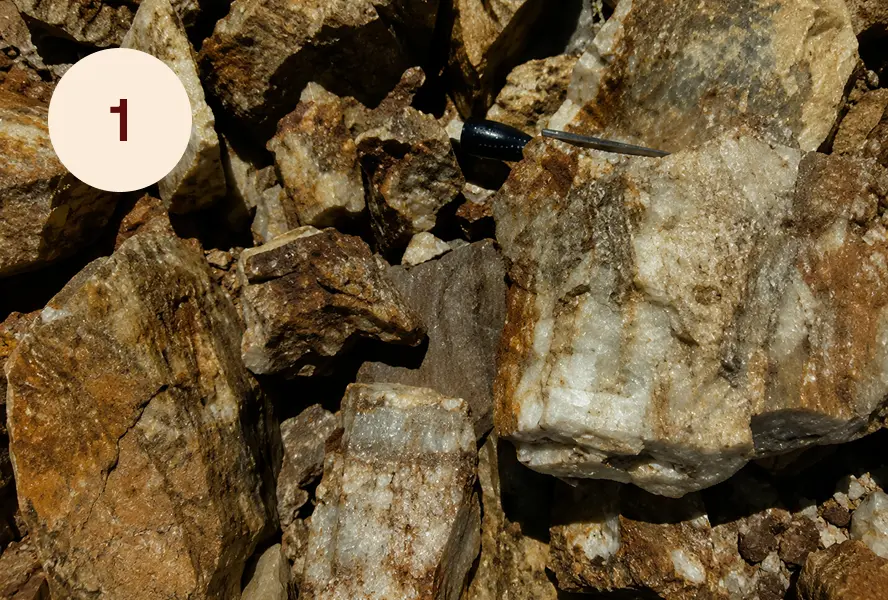 Quartz outcrop at Douglas Canyon